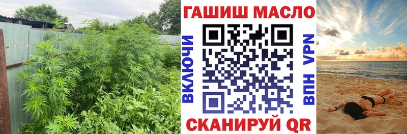 ТГК THC oil Кашира