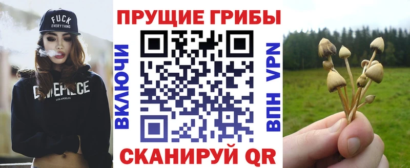 Галлюциногенные грибы MAGIC MUSHROOMS  Кашира 